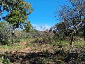 Imagem 4 - Terreno em Recanto da Lagoa, Lagoa Santa - MG