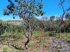 Imagem 5 - Terreno em Recanto da Lagoa, Lagoa Santa - MG