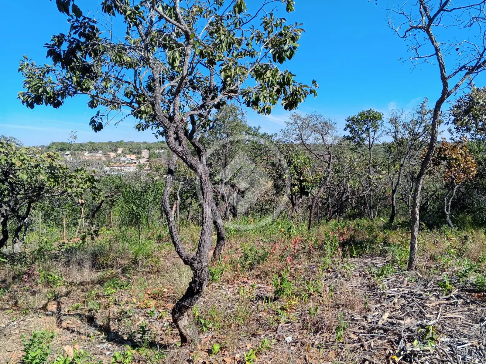 Imagem 5 - Terreno em Recanto da Lagoa, Lagoa Santa - MG