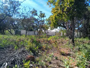 Imagem 6 - Terreno em Recanto da Lagoa, Lagoa Santa - MG
