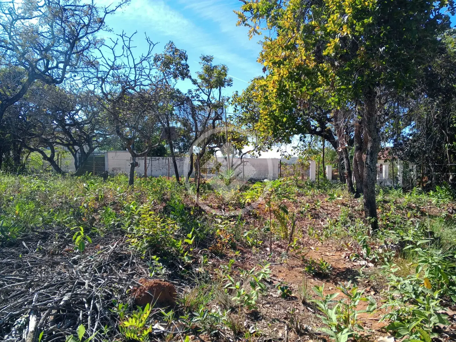 Imagem 6 - Terreno em Recanto da Lagoa, Lagoa Santa - MG