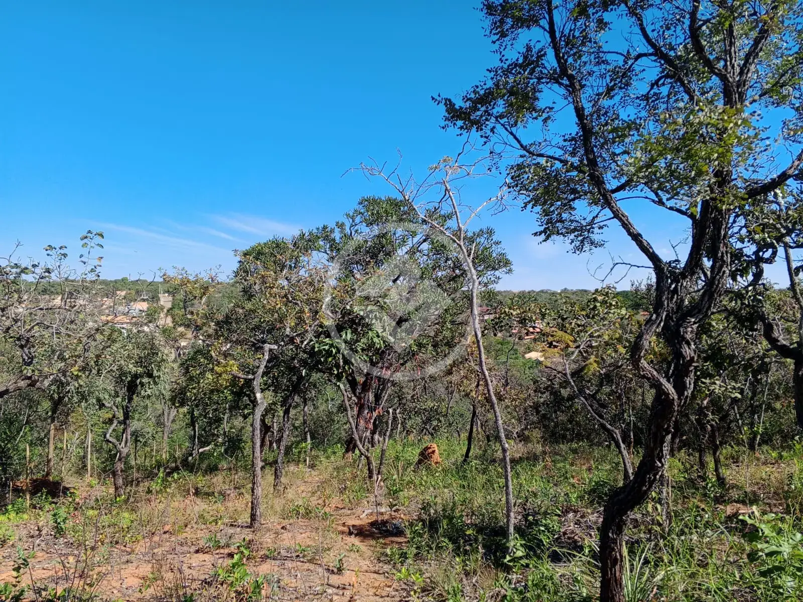 Image 8 - Terreno em Recanto da Lagoa, Lagoa Santa - MG