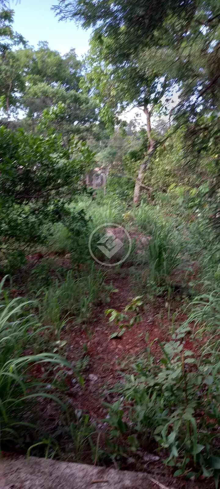 Imagem 3 - Terreno Condomínio em Jardim Imperial, Jaboticatubas - MG
