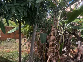 Imagem 2 - Terreno em Lundcea, Lagoa Santa - MG