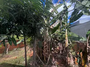 Imagem 5 - Terreno em Lundcea, Lagoa Santa - MG