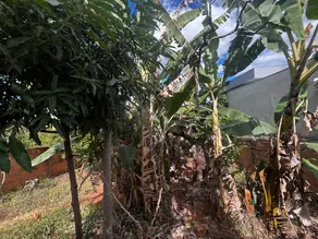 Imagem 6 - Terreno em Lundcea, Lagoa Santa - MG