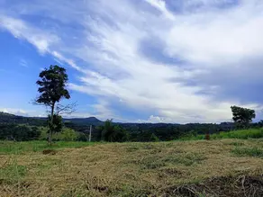 Imagem 5 - Terreno Condomínio em Centro, Lagoa Santa - MG