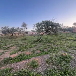 Terreno Vila dos Ipês, Lagoa Santa - MG — foto 1