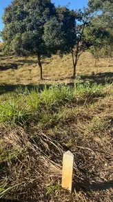 Imagem 3 - Terreno Condomínio em Santo Antônio, Vespasiano - MG