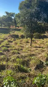 Imagem 4 - Terreno Condomínio em Santo Antônio, Vespasiano - MG