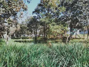 Terreno Joá, Lagoa Santa - MG — foto 2