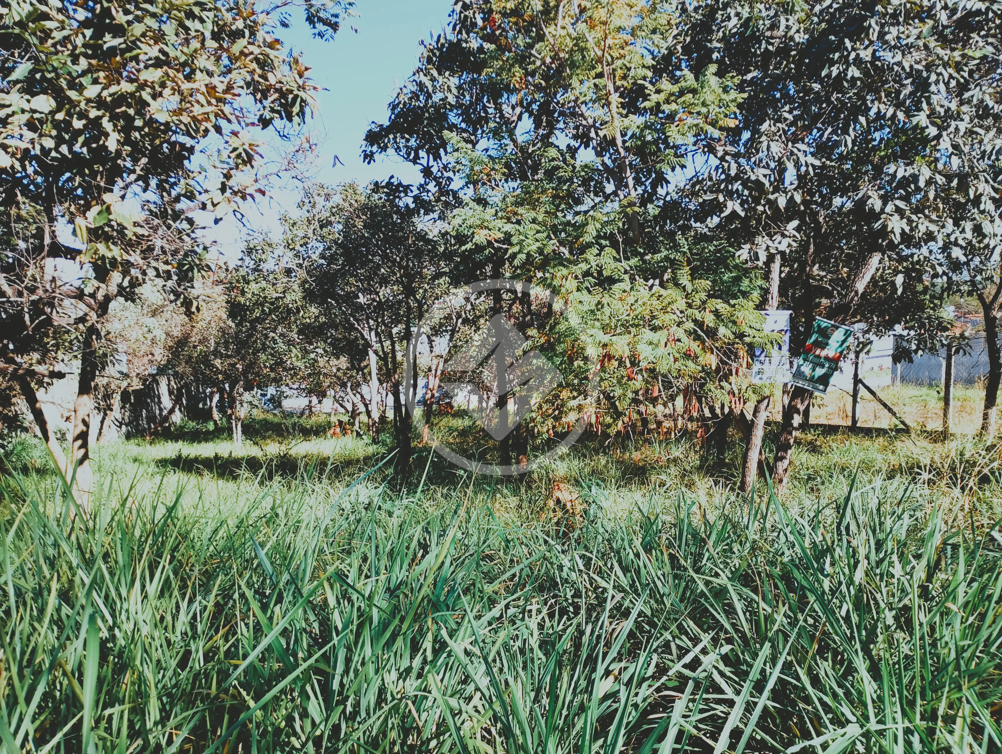 Image 2 - Terreno em Joá, Lagoa Santa - MG
