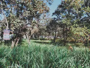 Imagem 2 - Terreno em Joá, Lagoa Santa - MG