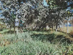 Imagem 3 - Terreno em Joá, Lagoa Santa - MG