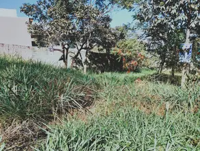 Imagem 4 - Terreno em Joá, Lagoa Santa - MG