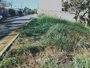 Imagem 6 - Terreno em Joá, Lagoa Santa - MG