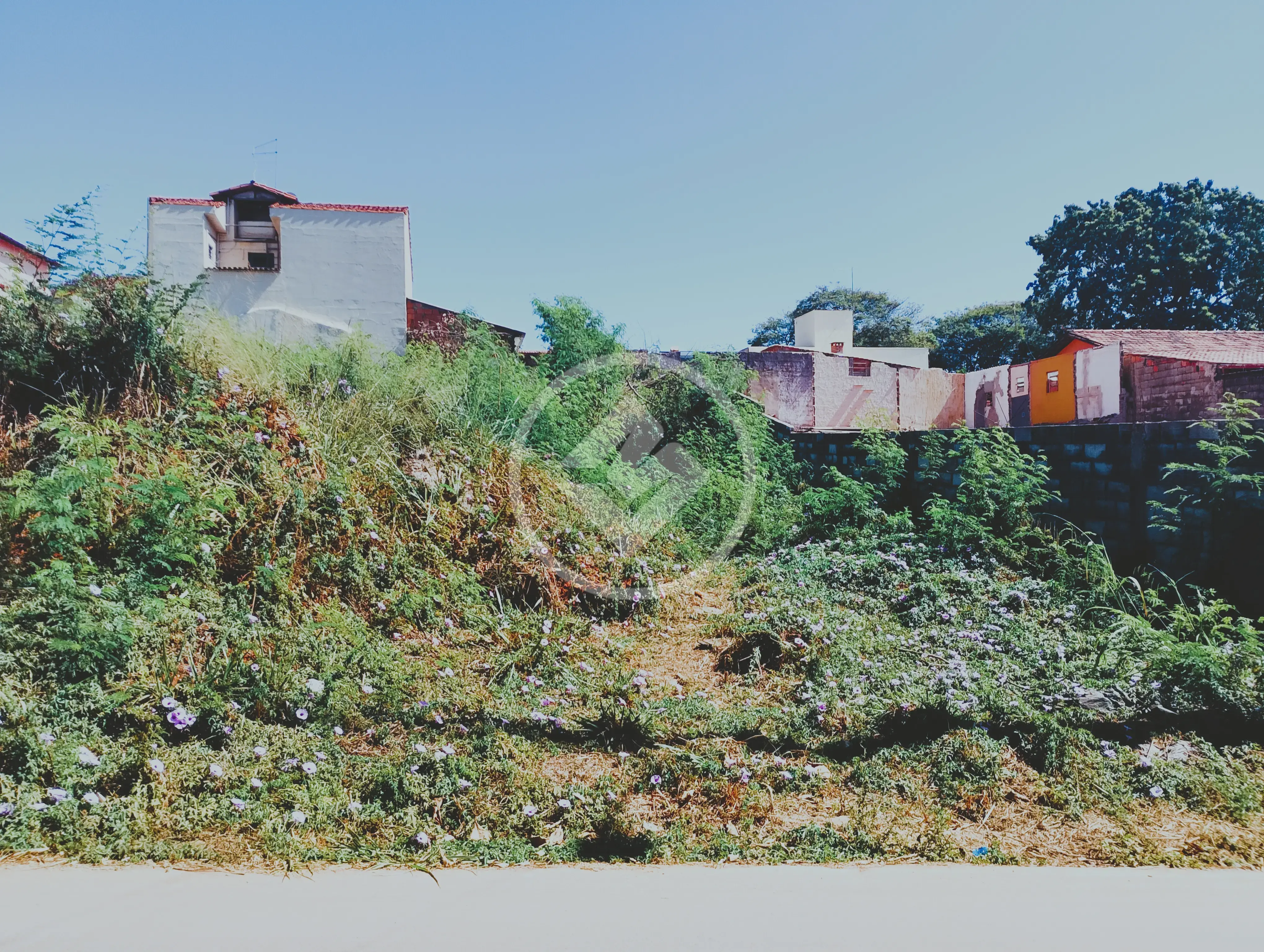 Imagem 1 - Terreno em Promissão I, Lagoa Santa - MG