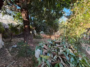Imagem 5 - Casa Comercial em Lundcea, Lagoa Santa - MG