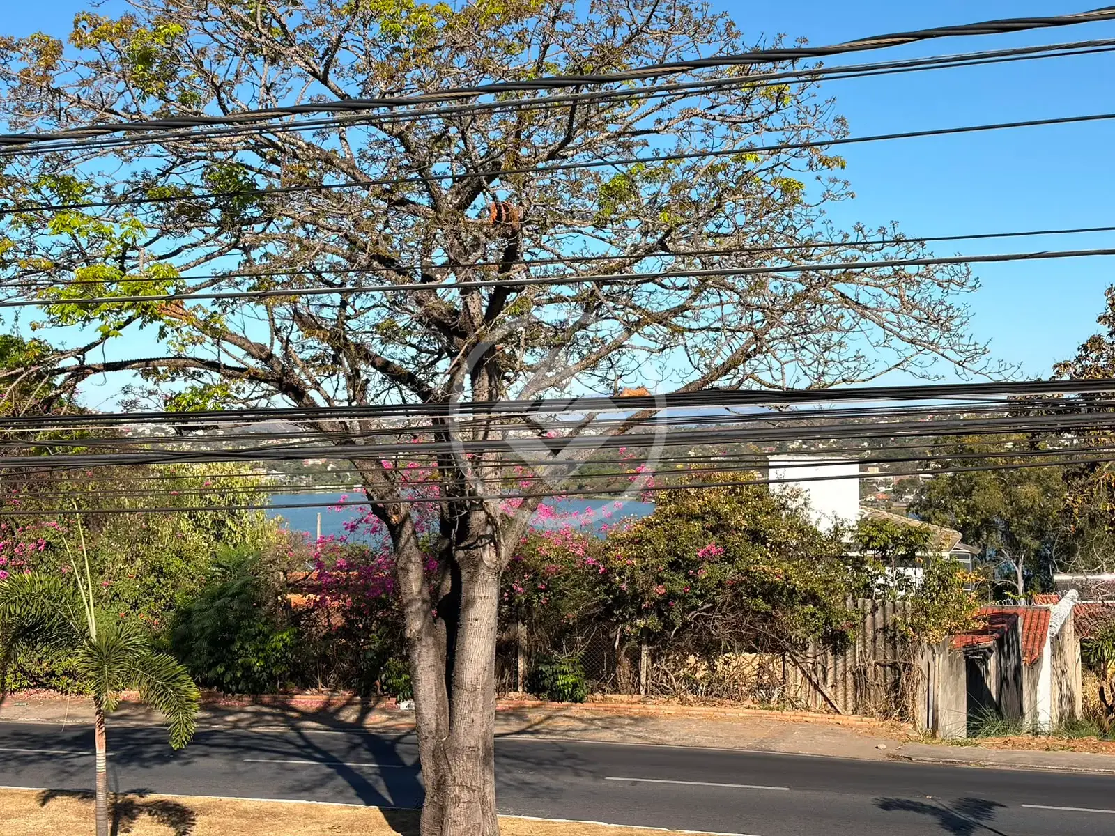 Imagem 1 - Casa Comercial em Lundcea, Lagoa Santa - MG