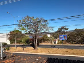 Casa Comercial Lundcea, Lagoa Santa - MG — foto 2