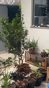 Imagem 5 - Casa em Residencial Eldorado, Lagoa Santa - MG