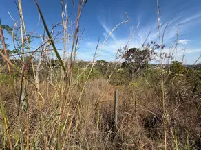 Imagem 3 - Terreno em Lagoa Mansões, Lagoa Santa - MG