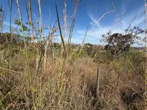 Imagem 4 - Terreno em Lagoa Mansões, Lagoa Santa - MG