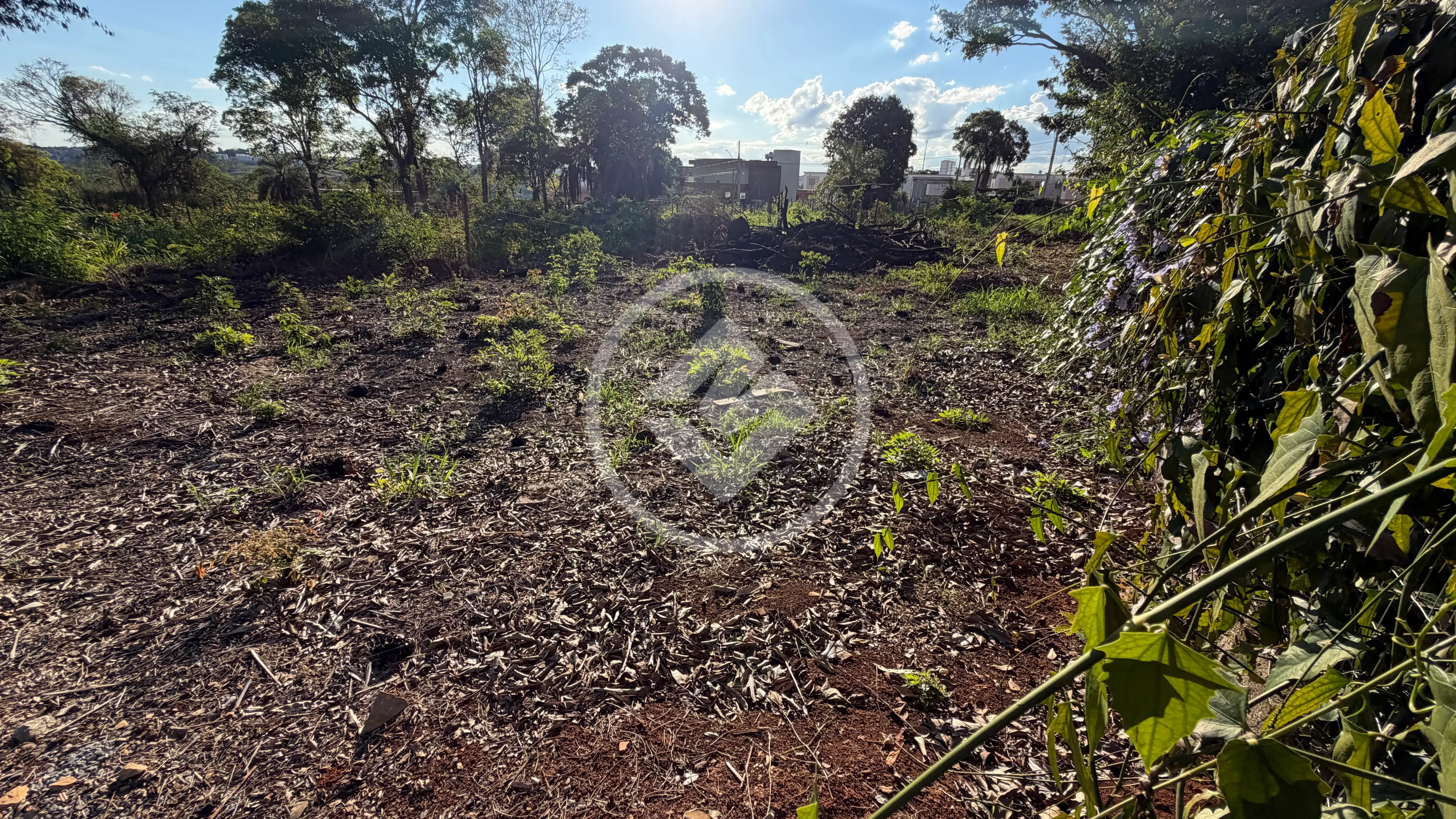 Image 2 - Terreno Condomínio em Angicos, Vespasiano - MG