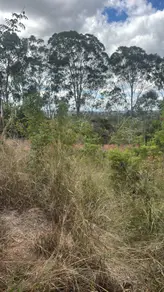 Imagem 2 - Terreno em Jardim Imperial, Lagoa Santa - MG