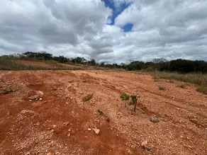 Imagem 6 - Terreno em Recanto das Avencas, Lagoa Santa - MG