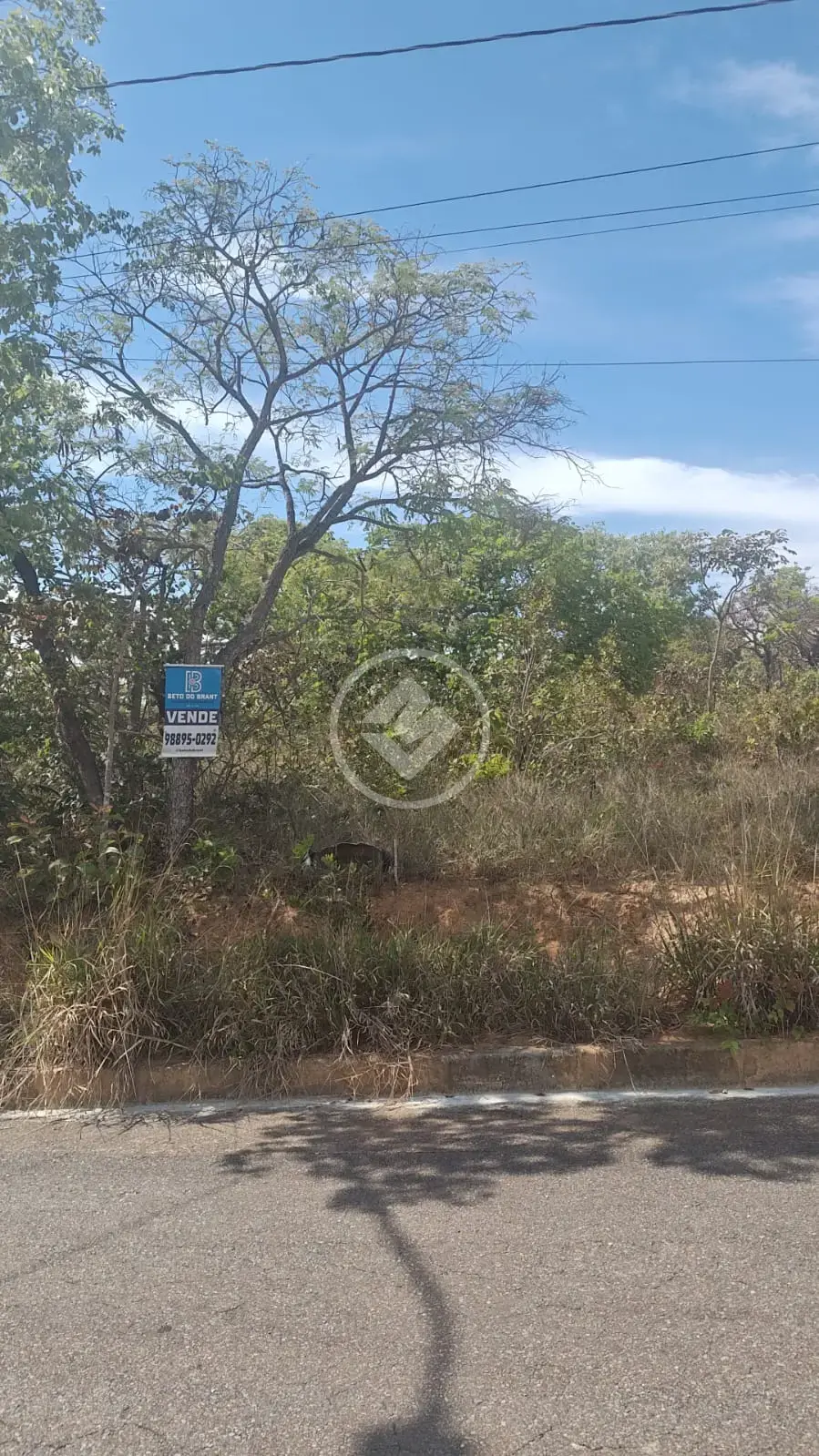 Imagem 1 - Terreno em Lagoa Mansões, Lagoa Santa - MG