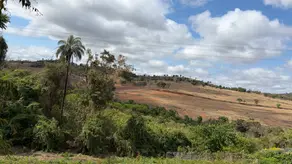 Imagem 2 - Terreno Condomínio em Angicos, Vespasiano - MG