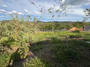 Terreno Condomínio Residencial Parque dos Buritis, Lagoa Santa - MG — foto 2