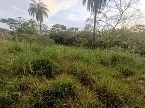 Imagem 2 - Terreno em Recanto do Bosque, Lagoa Santa - MG