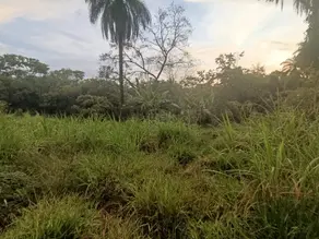 Imagem 3 - Terreno em Recanto do Bosque, Lagoa Santa - MG