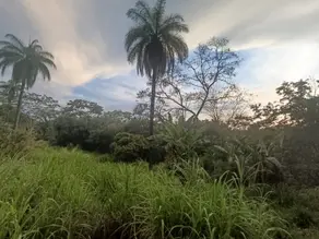 Imagem 5 - Terreno em Recanto do Bosque, Lagoa Santa - MG