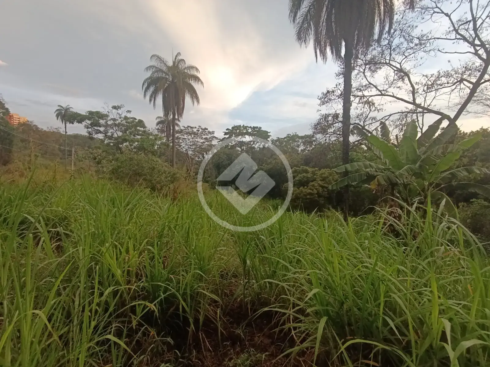 Image 2 - Terreno em Recanto do Bosque, Lagoa Santa - MG