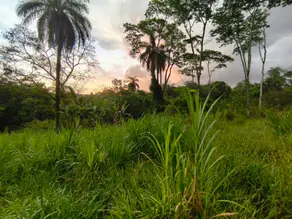 Terreno Recanto do Bosque, Lagoa Santa - MG — foto 1