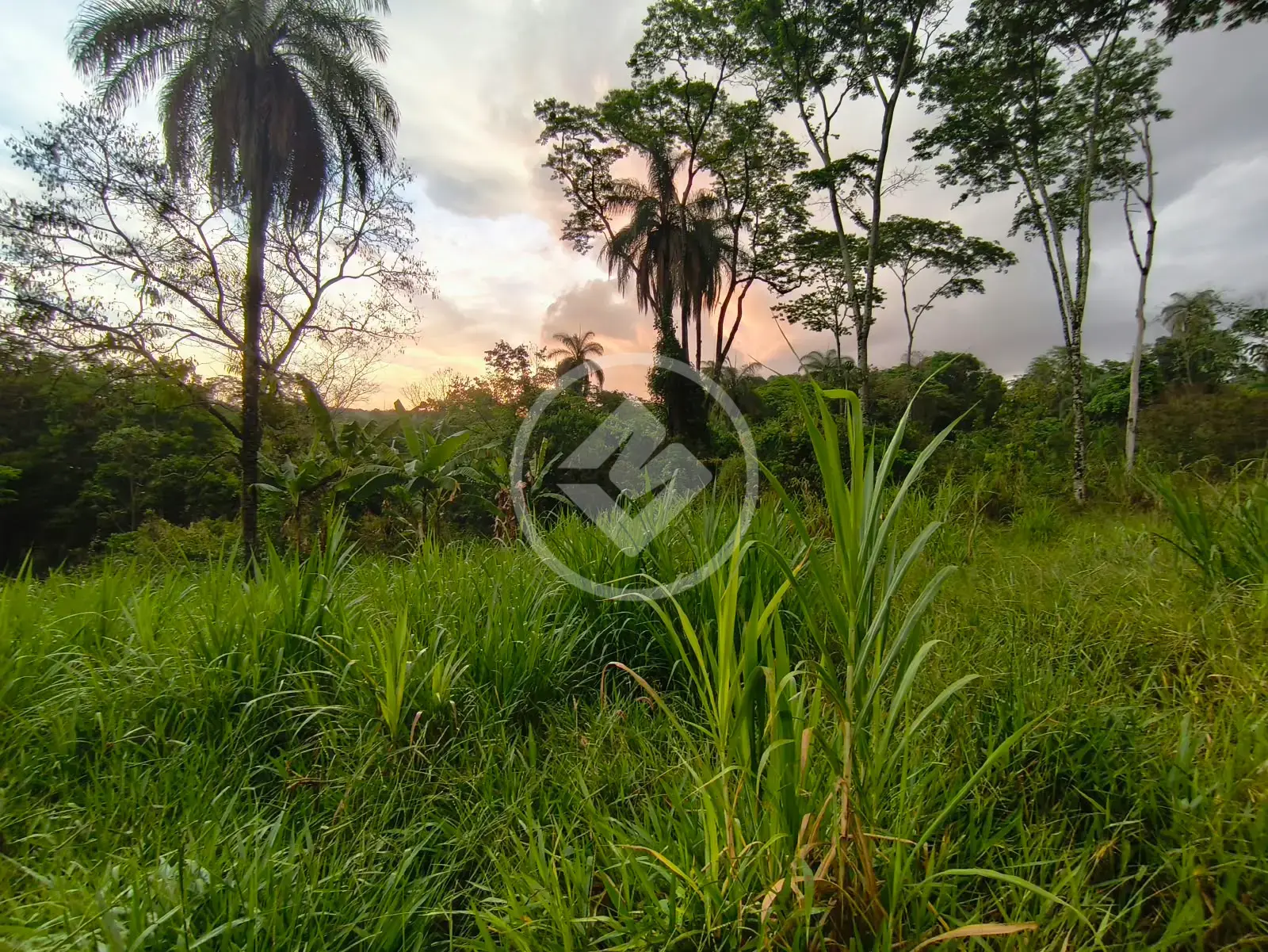 Imagem 1 - Terreno em Recanto do Bosque, Lagoa Santa - MG