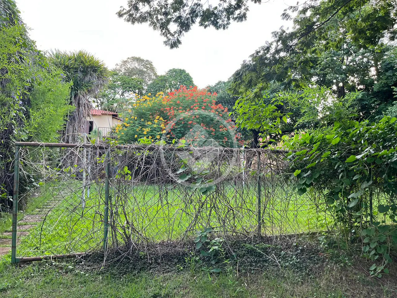 Imagem 5 - Terreno Condomínio em Condados da Lagoa, Lagoa Santa - MG