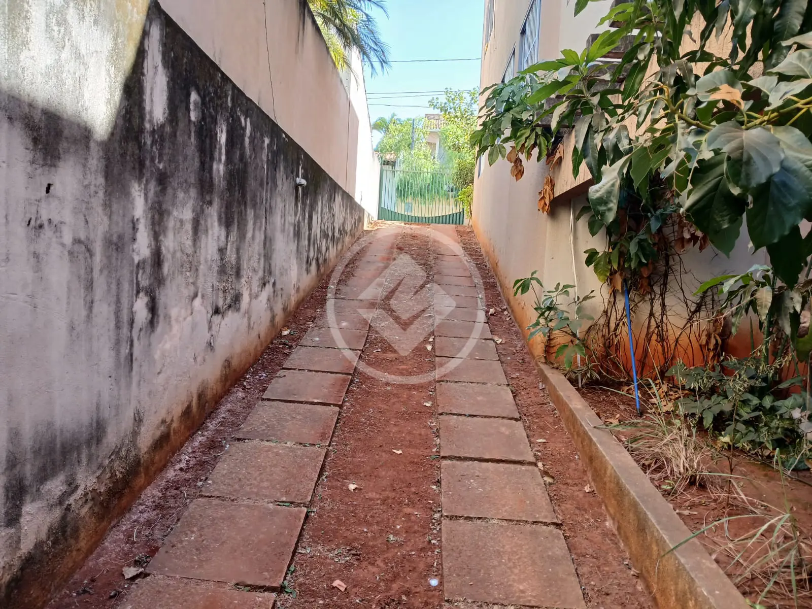 Imagem 3 - Sobrado em SETOR SUL, Goiânia - GO