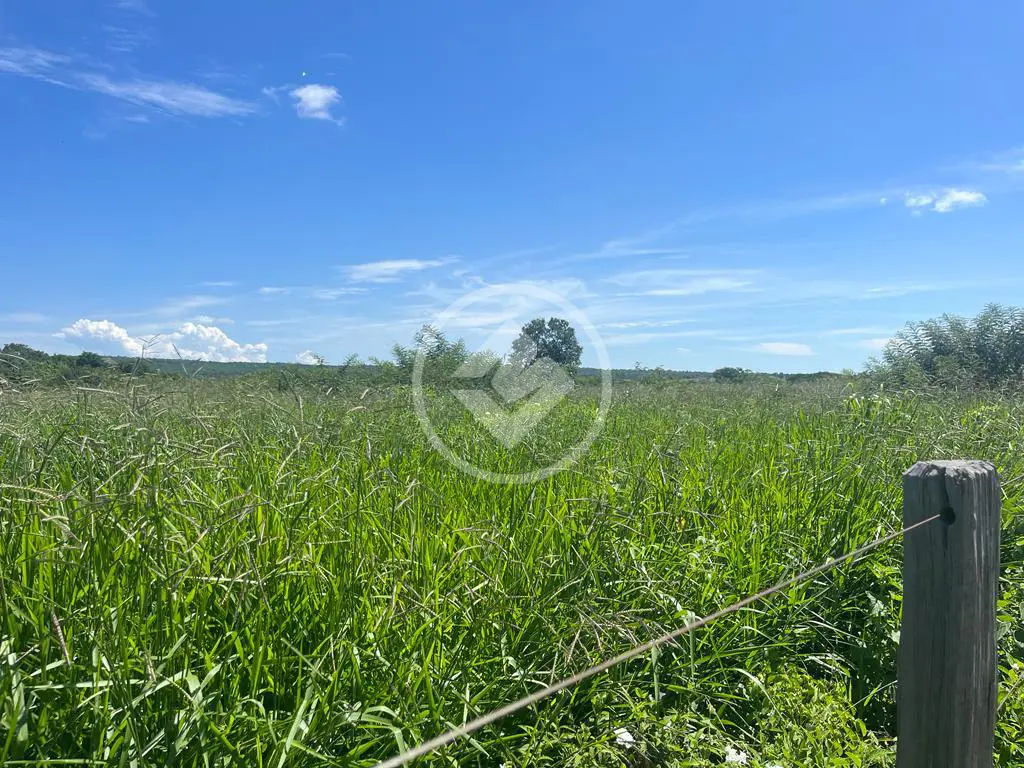 Imagem 3 - Fazenda em Jacu das Piranhas, Gameleiras - MG