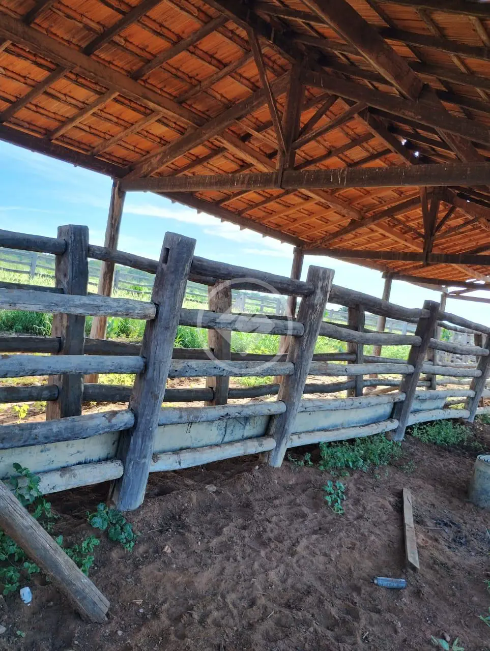 Imagem 6 - Fazenda em Jacu das Piranhas, Gameleiras - MG