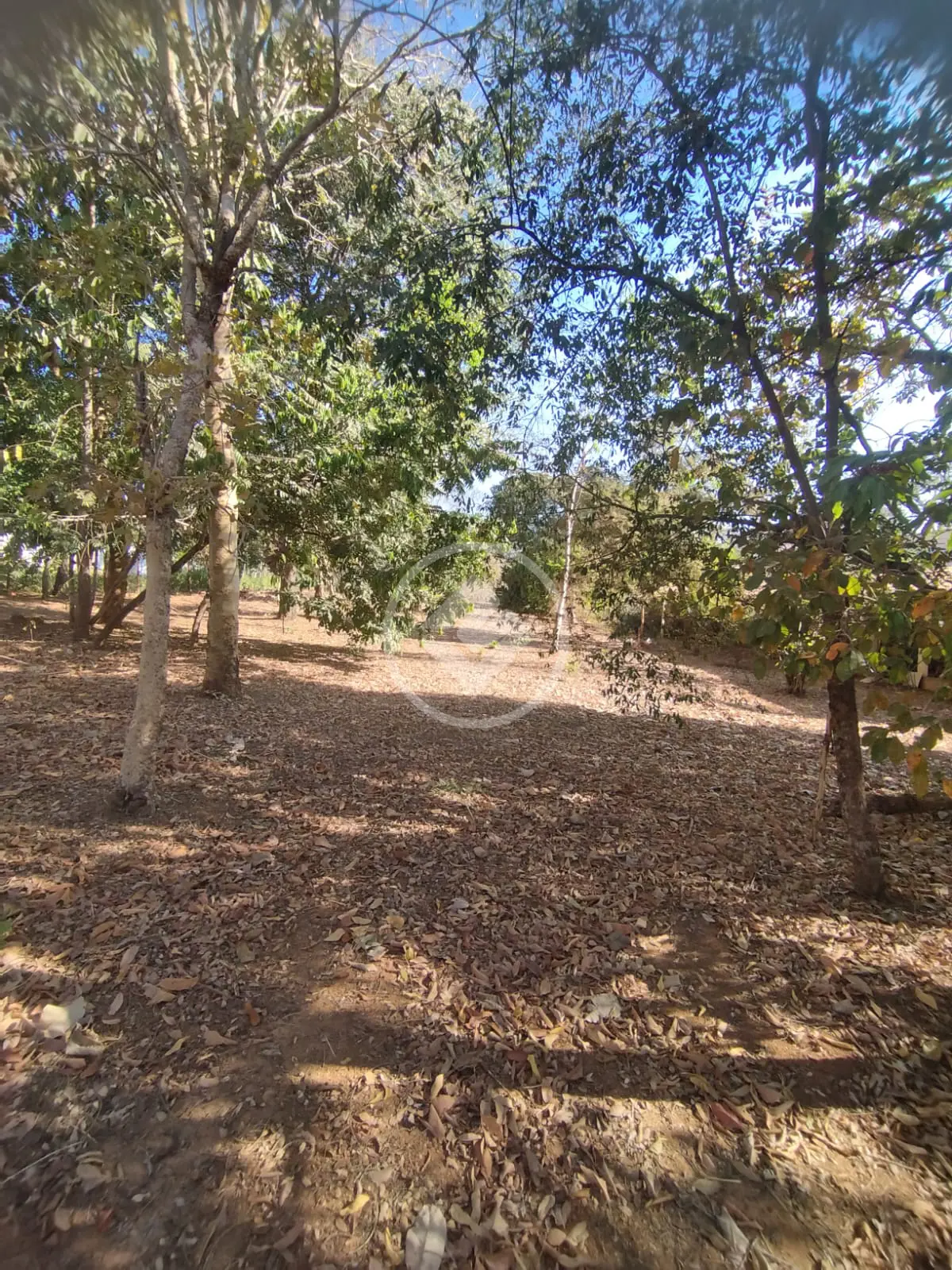 Imagem 2 - Terreno Condomínio em Residencial Villa Verde, Senador Canedo - GO