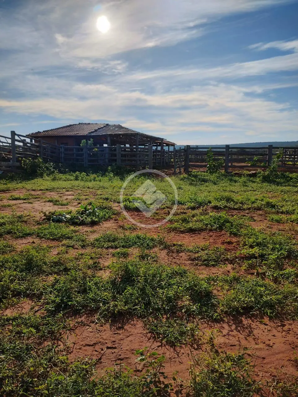 Imagem 4 - Fazenda em Jacu das Piranhas, Gameleiras - MG