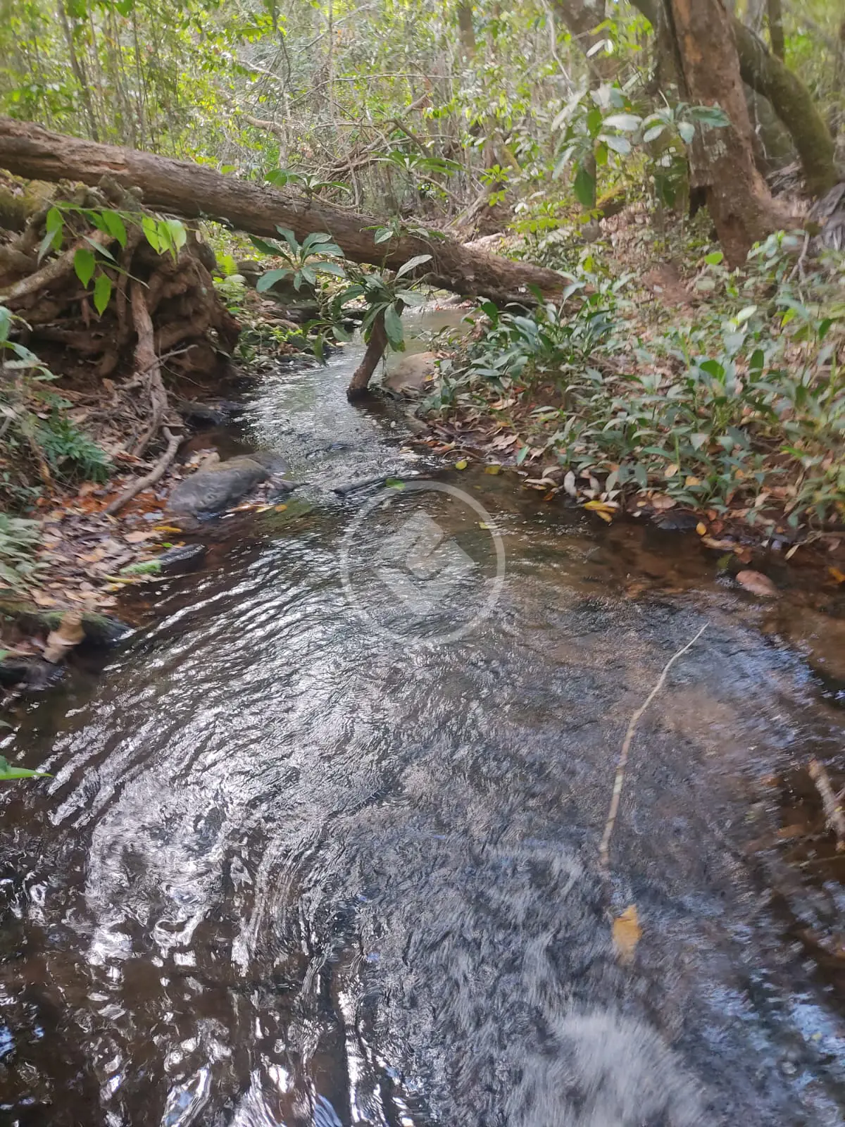 Imagem 1 - Fazenda em Centro, Pirenópolis - GO