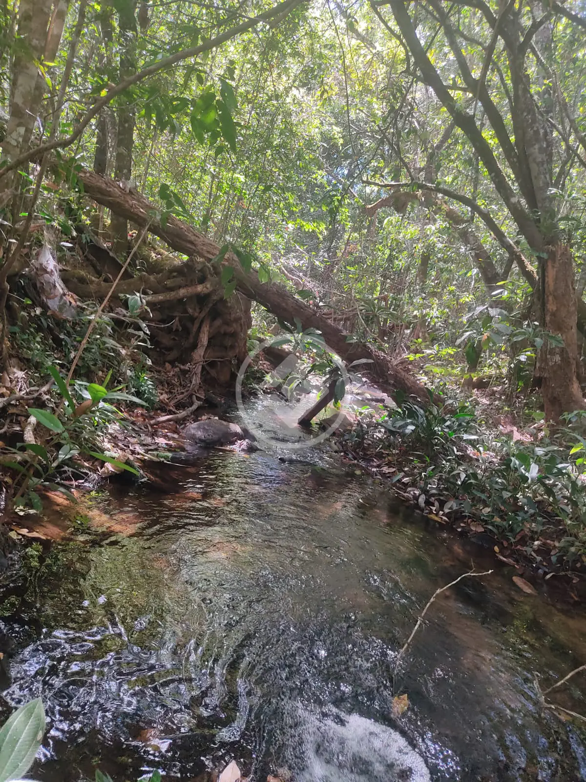 Imagem 3 - Fazenda em Centro, Pirenópolis - GO