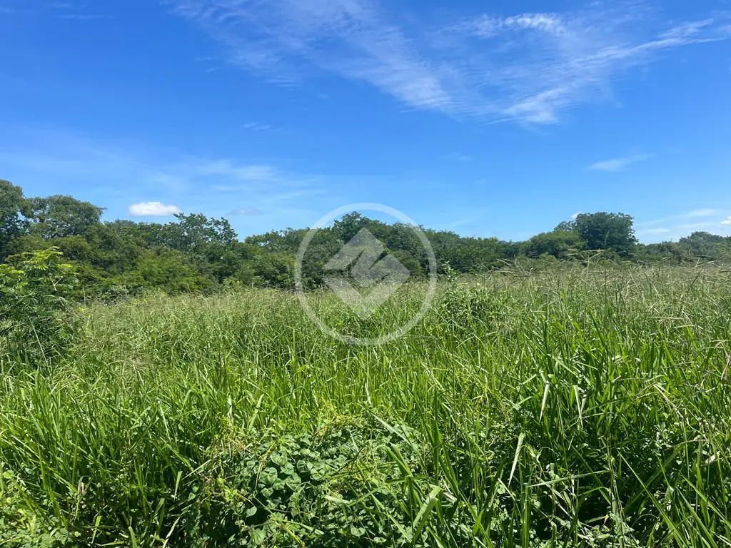 Fazenda Jacu das Piranhas, Gameleiras - MG — foto 1