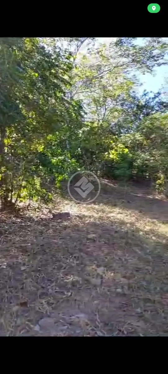 Image 8 - Fazenda em Centro, Pirenópolis - GO