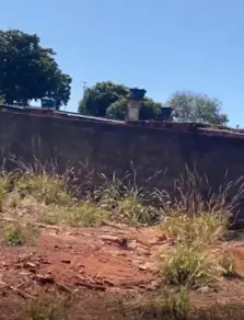 Imagem 3 - Terreno em Setor Pedro Ludovico, Goiânia - GO